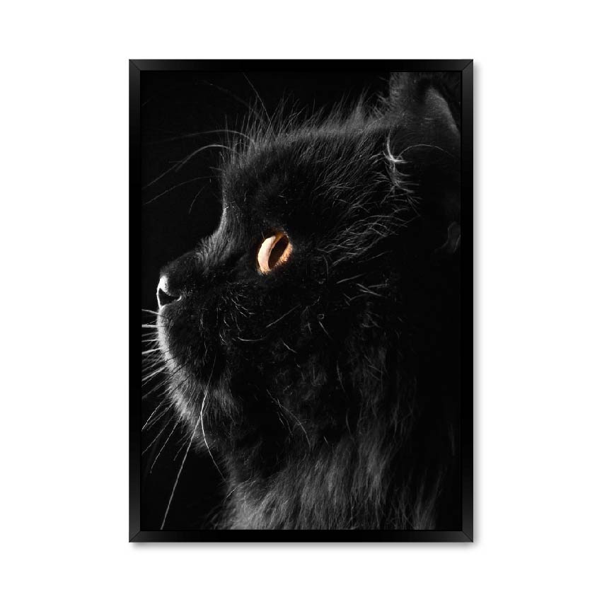 

Постер "Black cat" без стекла 596x840 мм в чёрной рамке