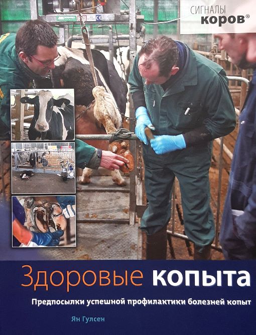

Здоровые копыта. Предпосылки успешной профилактики болезней копыт