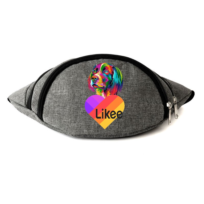 

Сумка Бананка на пояс Лайк Likee (OB-L-05) Cappuccino Toys серая