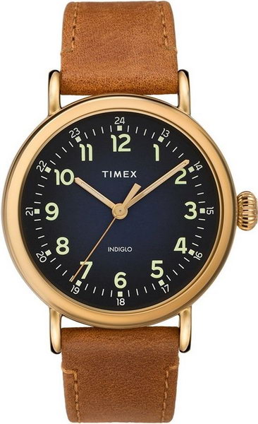 

Мужские наручные часы Timex Tx2t20000