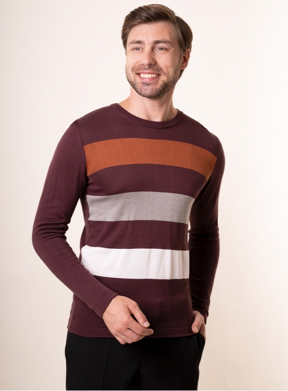 

Чоловічий джемпер VD one  Коричневий 86726, Чоловічий джемпер VD one L Коричневий 86726