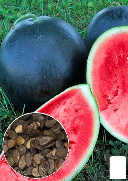 На развес Арбуз "Ультраранний" Agro-Market цена за 5г (49102) – фото ...