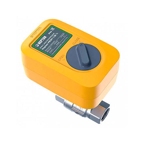 

Кран с электроприводом Neptun PROFI 220B 1/2