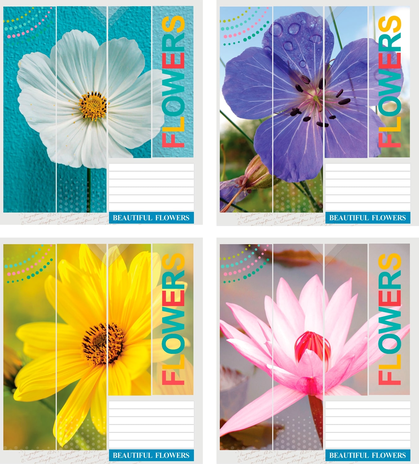 Набір зошитів учнівських Мрії збуваються Квіти В5 36 аркушів у клітинку ...