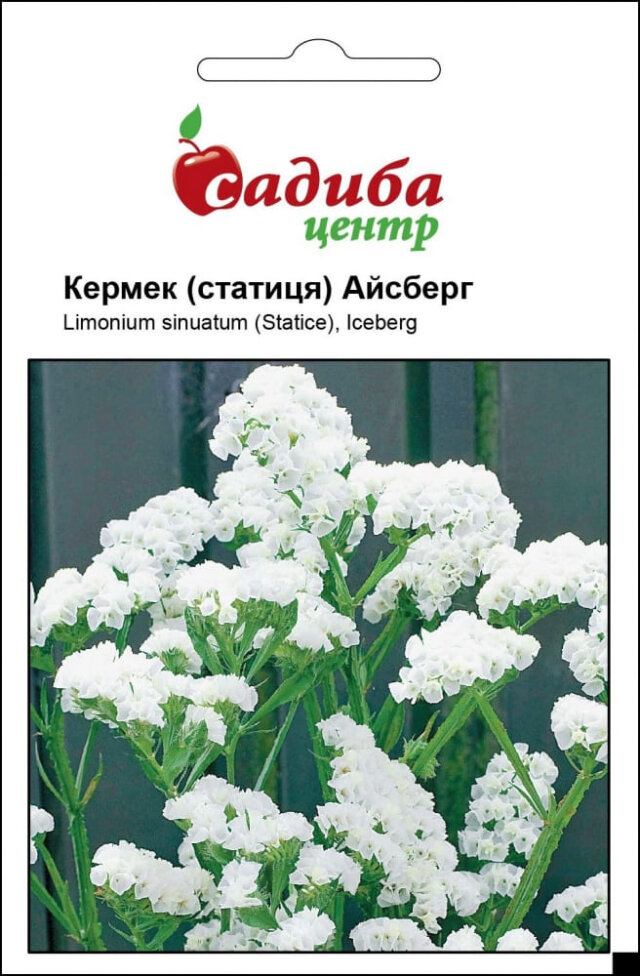 Семена кермека Айсберг белый, 0.1, Hem, Голландия, Садиба Центр – фото ...