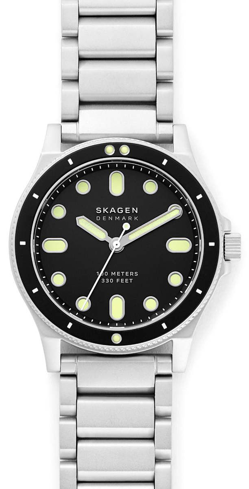 

Мужские часы Skagen SKW6666