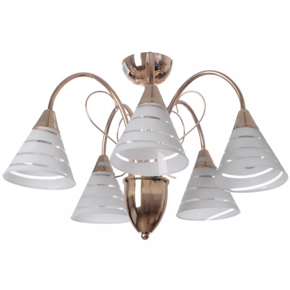 

Brille Lk-174S/5 (Yl79) 166241