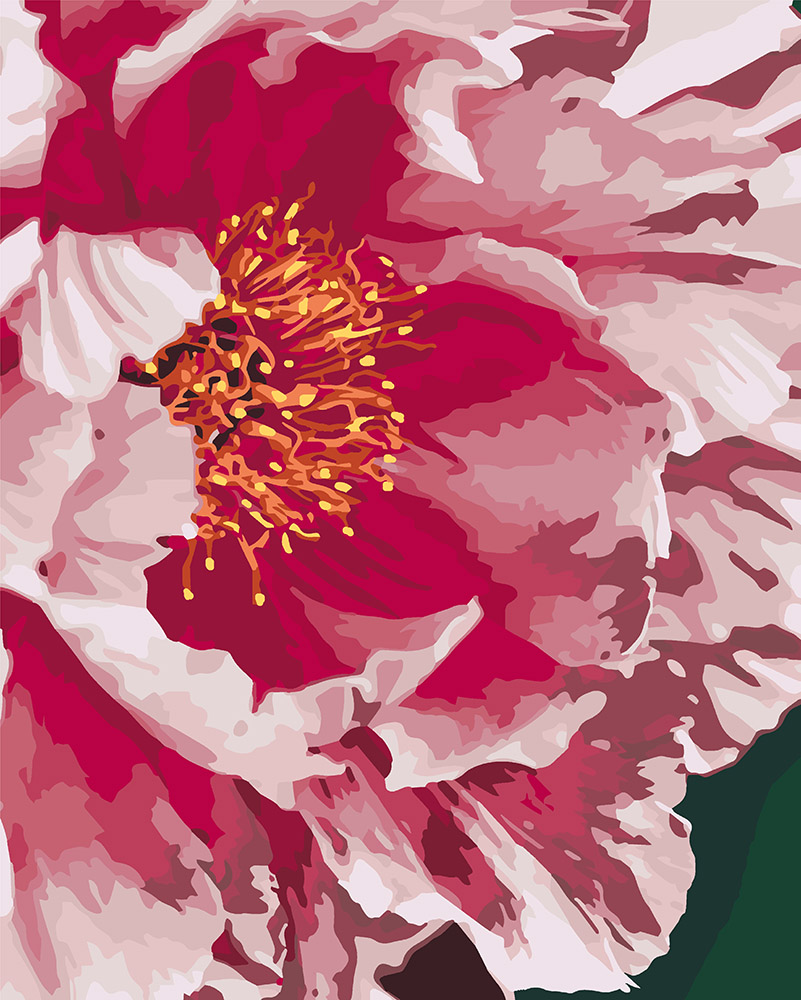 

Картина по номерам Идейка Розовый пион 40*50 см (в коробке) арт.KH3039