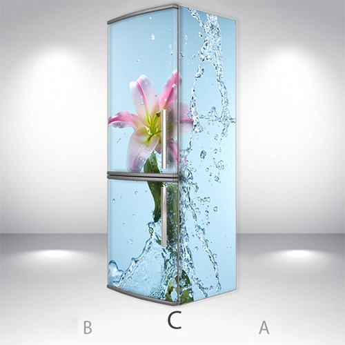 

Холодильник дизайнерский, Магнит, 200 х 60 см, Лицевая+Правая(C) (holMM2_fl101483 Цветы-С)