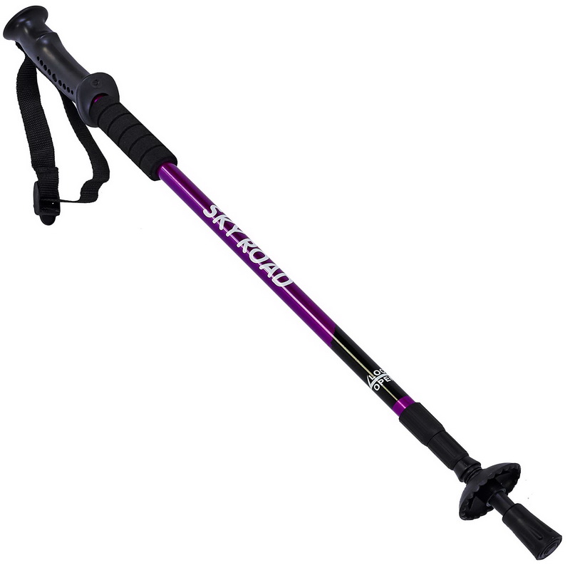 Палка для скандинавской ходьбы EasyFit SR фиолетовая (треккинговые ...