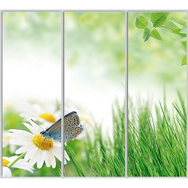 

Шкаф купе Стандарт 1 Фотопечать Природа-223 2400x2200x450 трехдверный Matroluxe