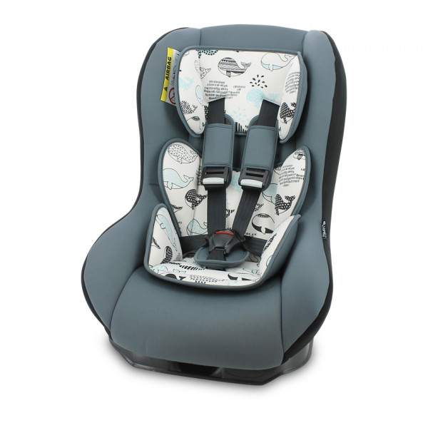 

Автокресло Lorelli BETA PLUS 0-18 кг Grey Whales (21869) Серый