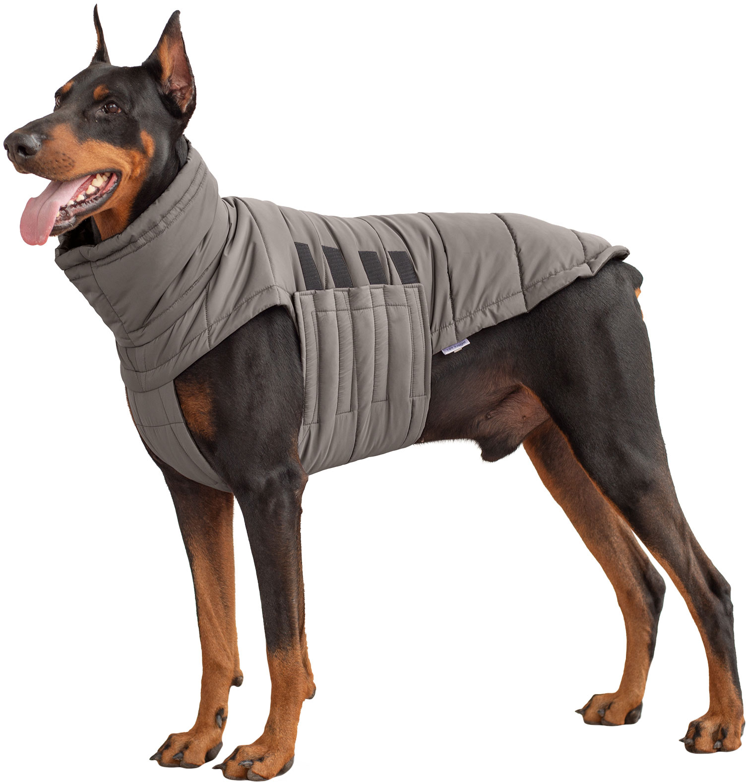 Одежда для собак без шитья