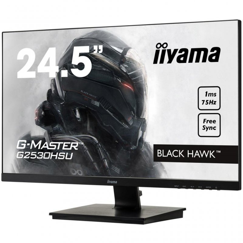 

Монитор iiyama G2530HSU-B1