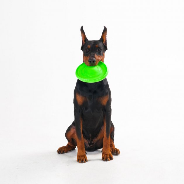 Игрушка для собак Collar Летающая тарелка Flyber 22 см Салатовая (62175 ...