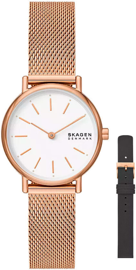 Женские часы SKAGEN SKW1153SET – фото, отзывы, характеристики в ...
