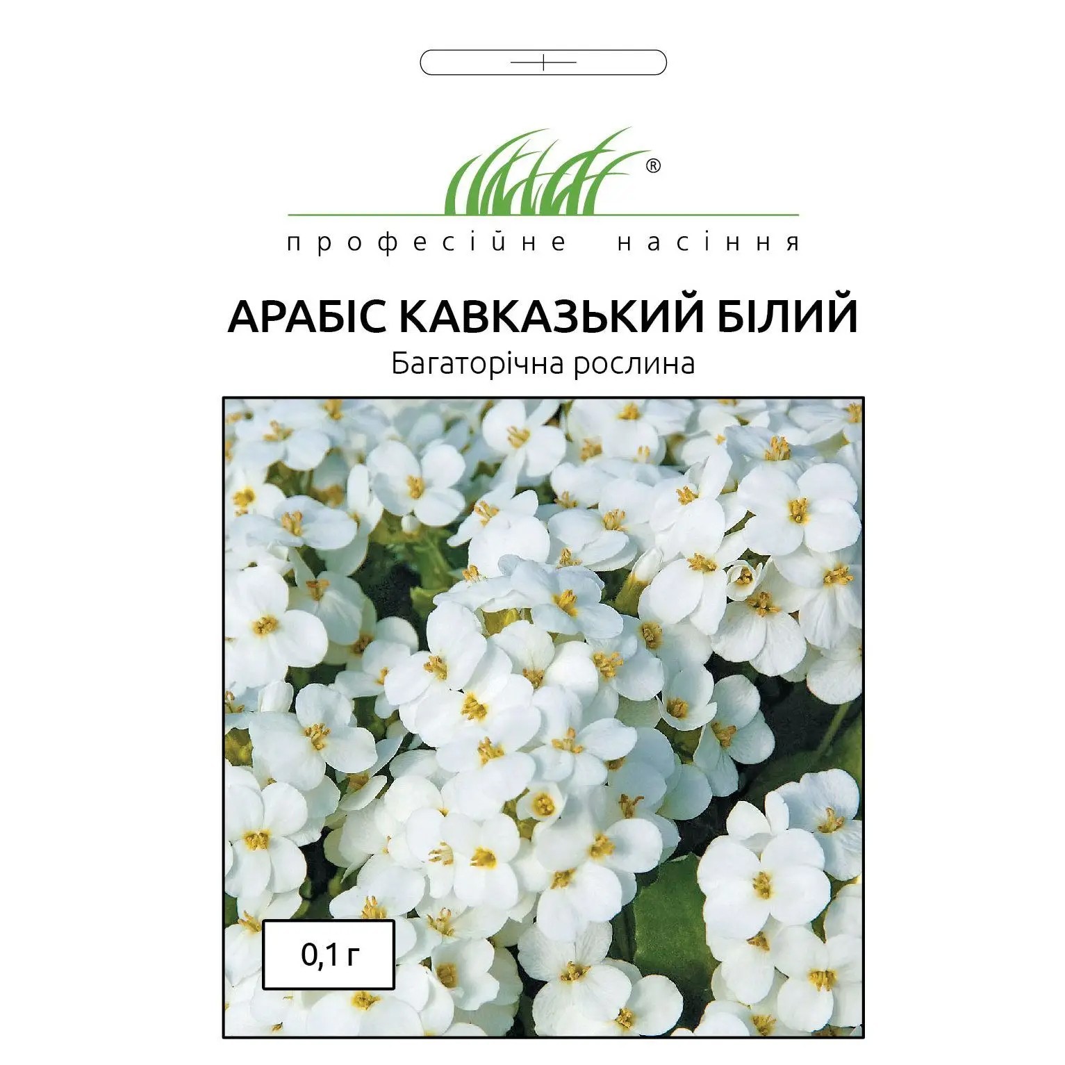 Семена Арабис Кавказский белый Профессиональные семена 0,1 г – фото ...