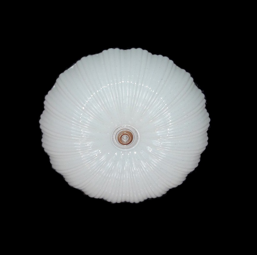 

Потолочный светильник Svitlight V1905/24W R