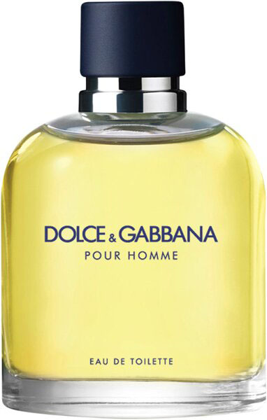 Dolce&Gabbana Pour Homme туалетна вода для чоловіків – купити з