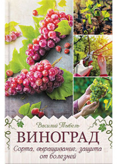 

Виноград. Сорта, выращивание, защита от болезней. 93329