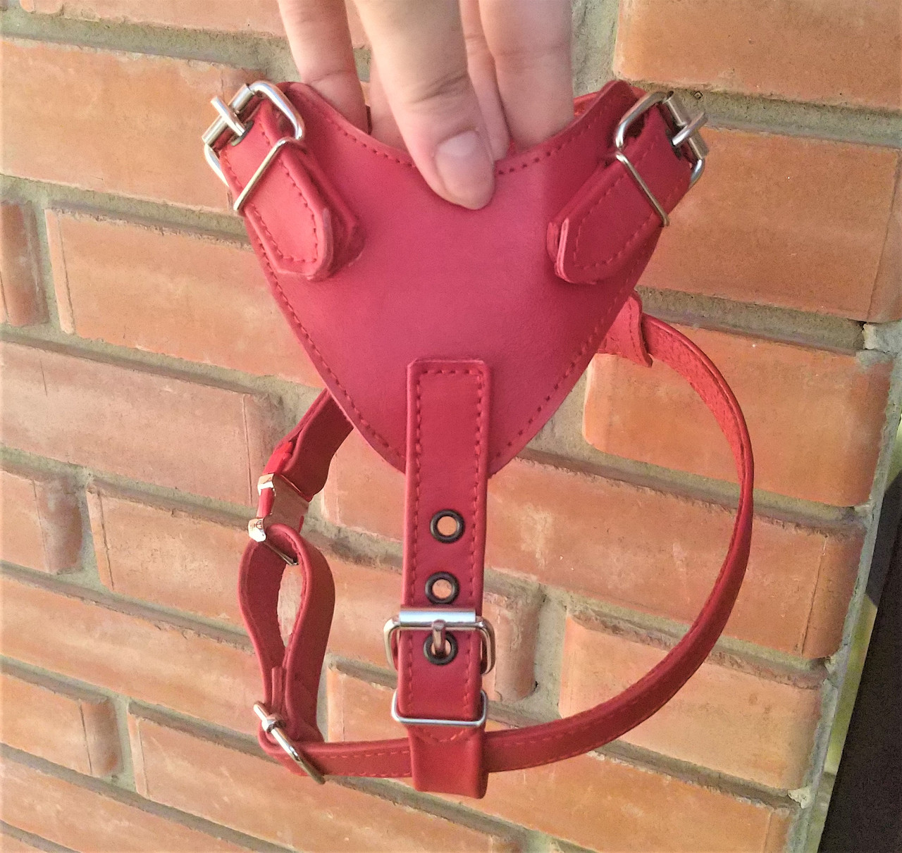 

Шлейка для небольших собак (shl_055) Lockdog S (16-29 см) Красный 000139383