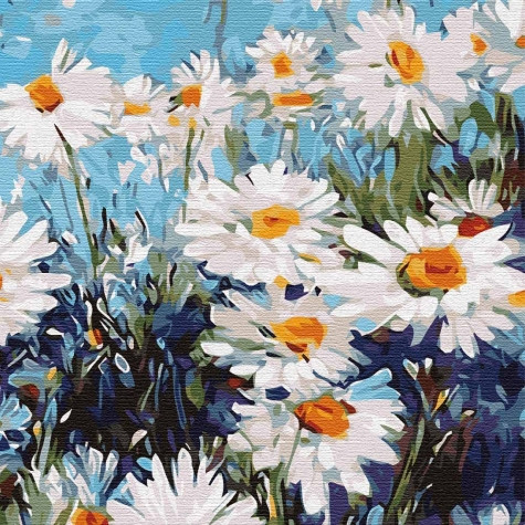 

Картина по номерам Идейка "Ромашковое поле" 30*30см