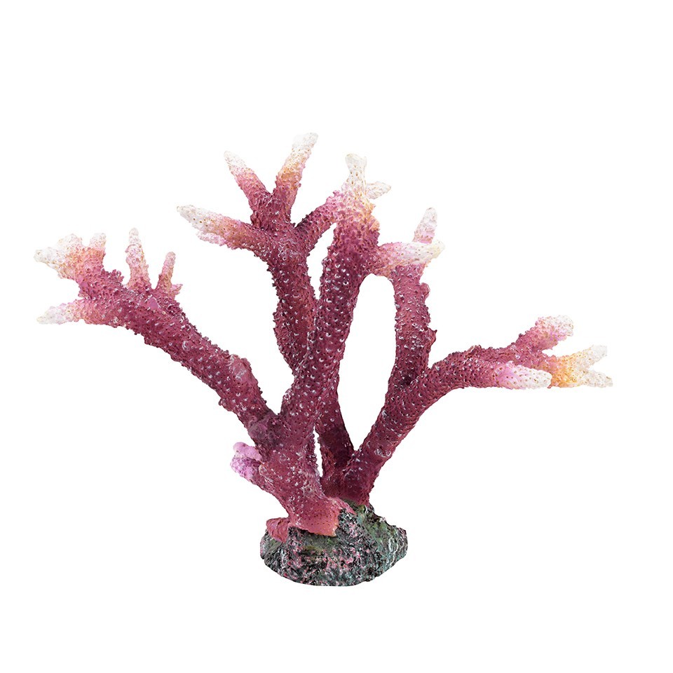 

Декорация Tetradon Коралл 25.5х12.5х18.5 см (HCL017)