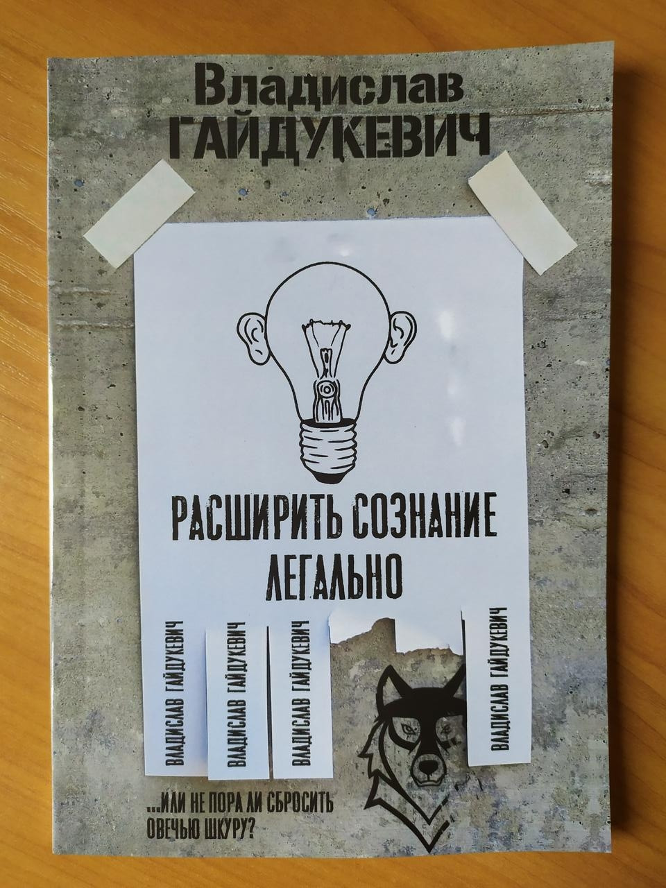 

Владислав Гайдукевич. Расширить сознание легально. Не пора ли сбросить овечью шкуру