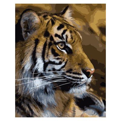 

Картина по номерам Dreamtoys Тигр в термопакете 40х50 см (VA-0248)