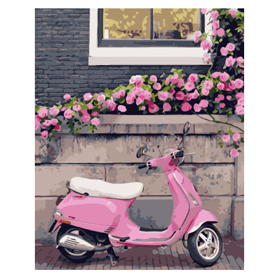 

Картина по номерам Dreamtoys Розовый скутер в термопакете 40х50 см (VA-0863)