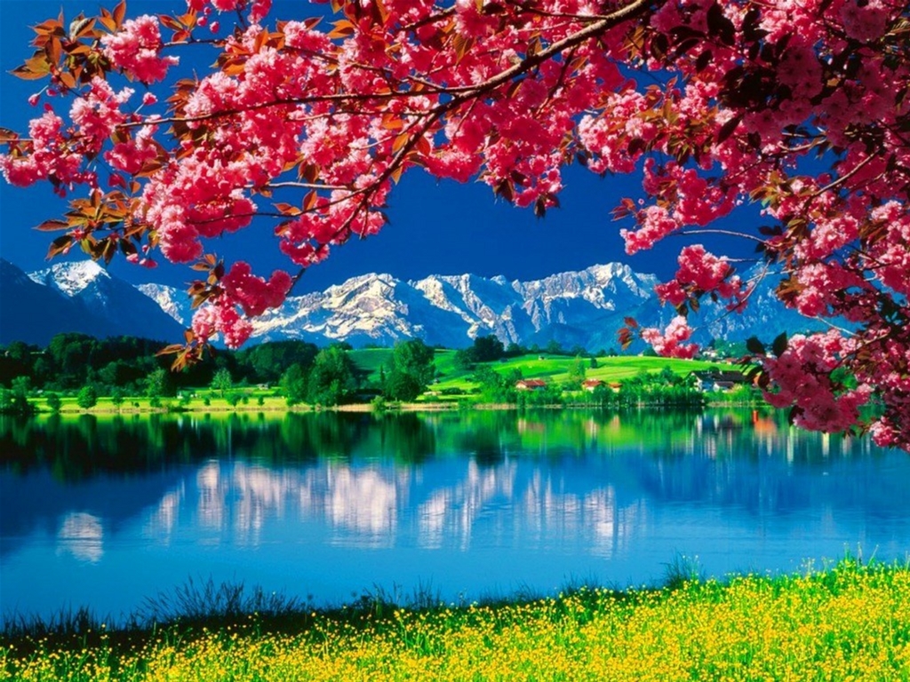 

Набор для творчества VGR акриловая живопись по номерам 40х50 см (Я44798_RA3307)