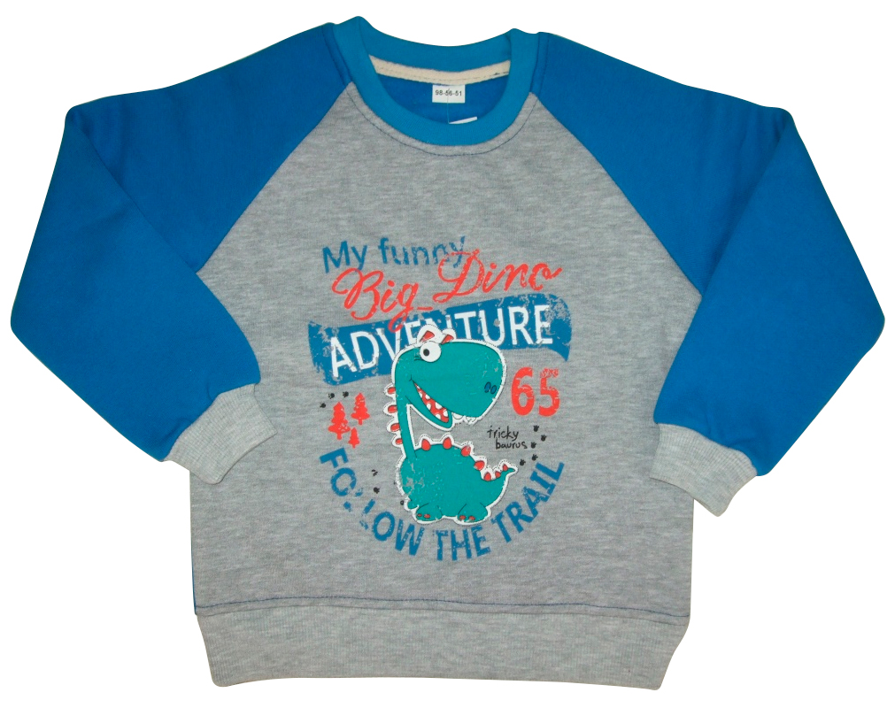 

Реглан для мальчика Big Dino, Danaya, серо-синий (98 р.) (360/H18/98)