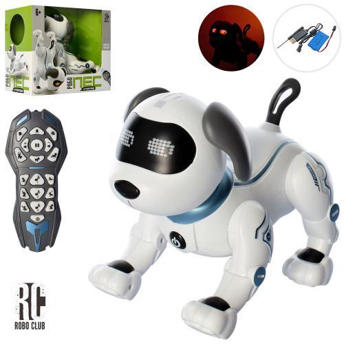 

Радиоуправляемая игрушка СОБАКА сенсорная RC 0004