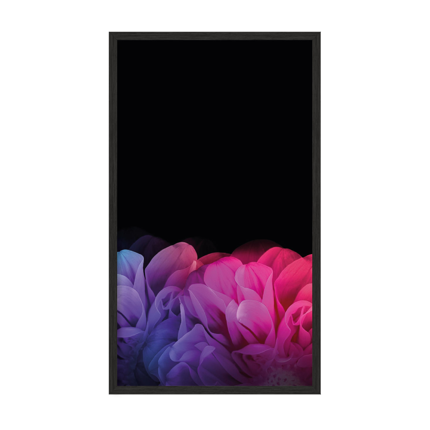 

Постер "Aqua Colors" без стекла 60 х 120 см в чёрной рамке