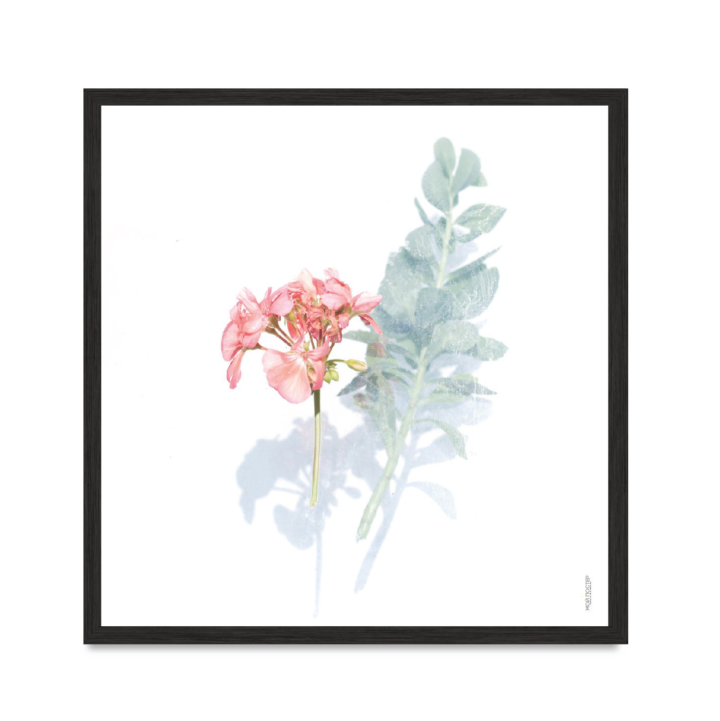 

Постер "Flowers 01" с антибликовым стеклом 30 x 30 см в чёрной рамке