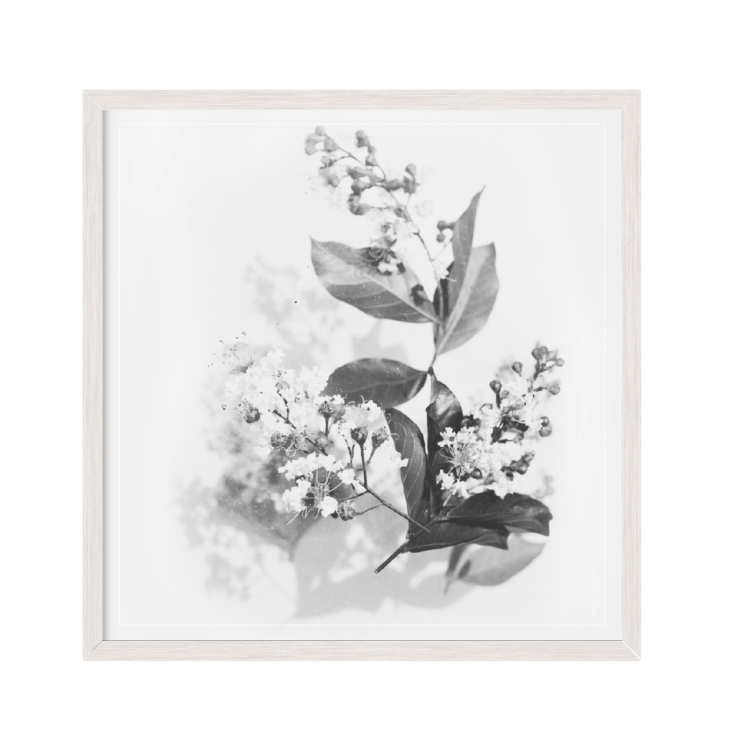 

Постер "Flowers 02" с антибликовым стеклом 30 x 30 см в белой рамке