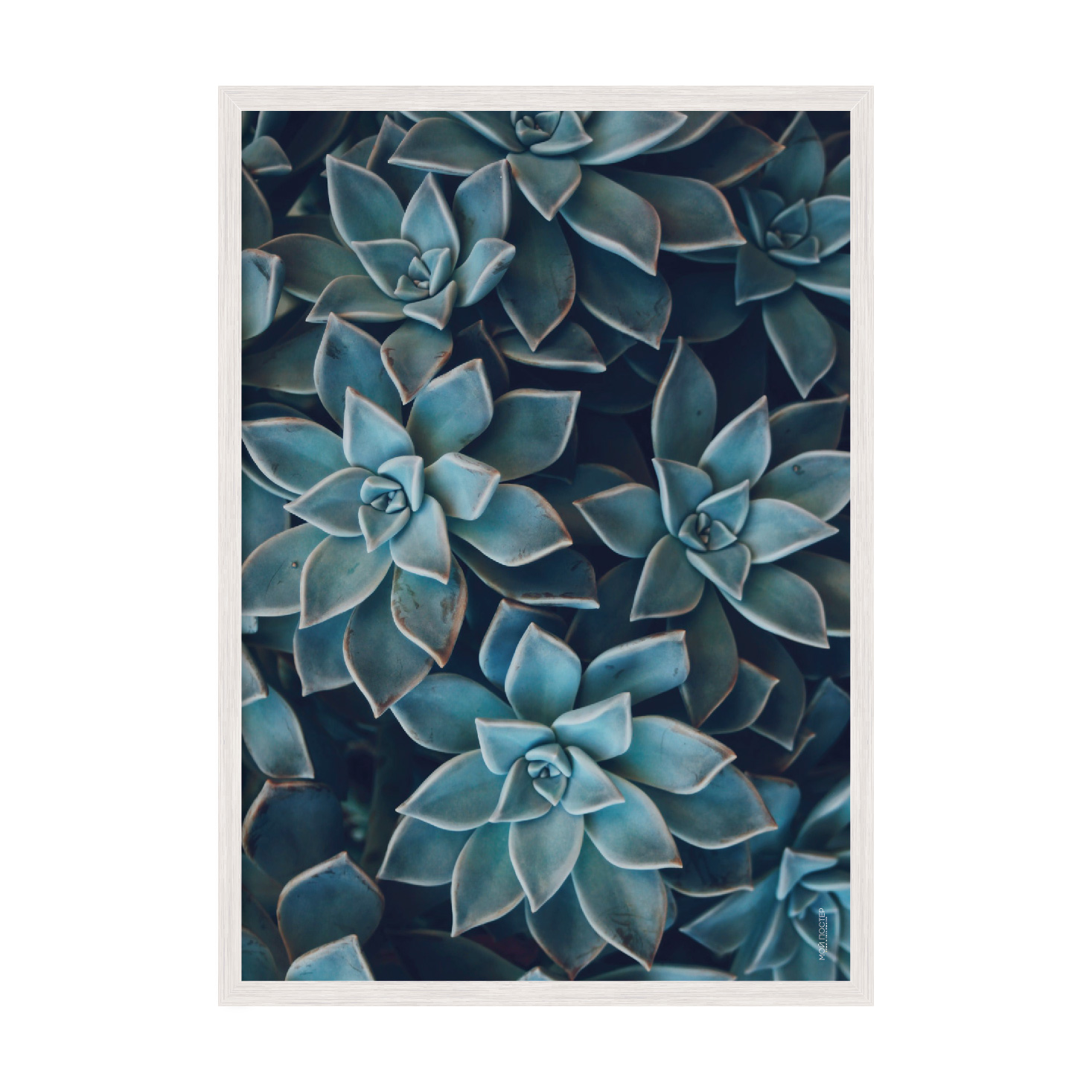 

Постер "Leaves 03" с антибликовым стеклом 42 x 59.4 см в белой рамке