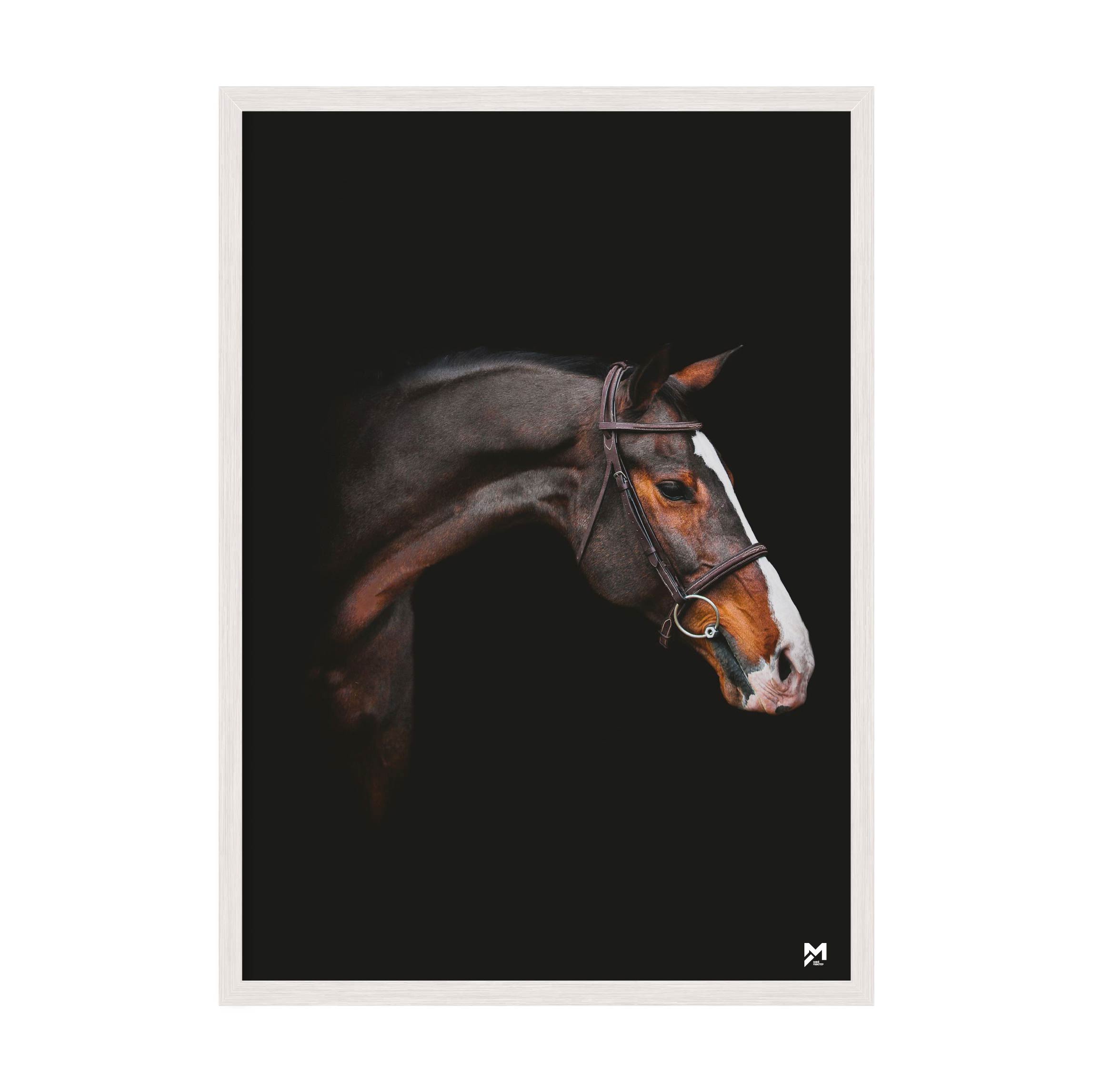 

Постер "Horse" без стекла 59.6 x 84 см в белой рамке