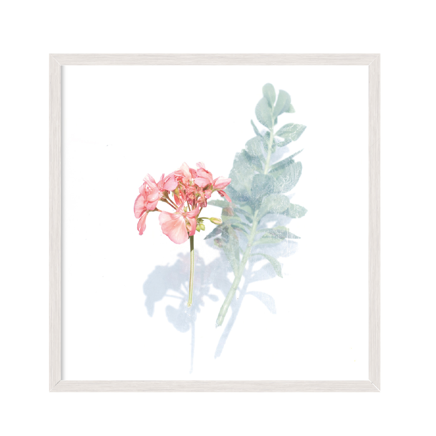 

Постер "Flowers 01" с антибликовым стеклом 30 x 30 см в белой рамке