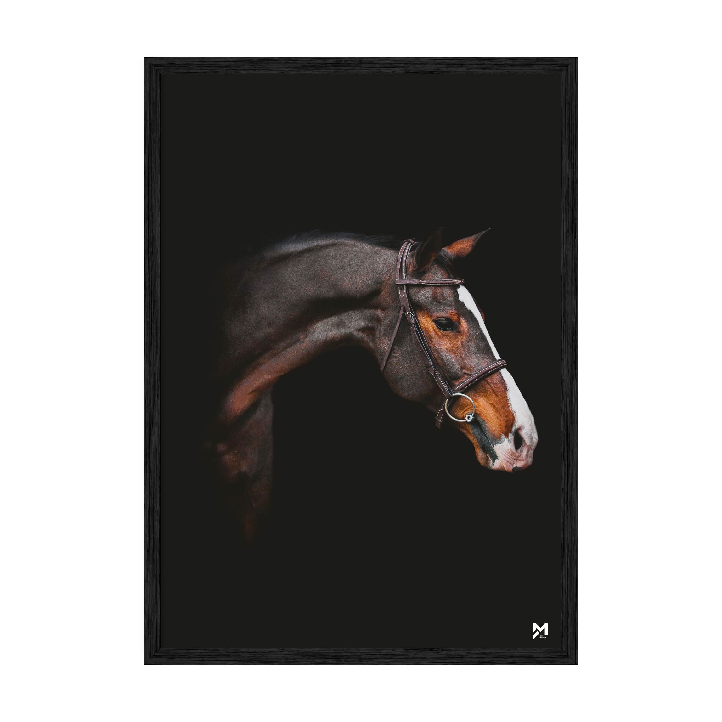 

Постер "Horse" без стекла 59.6 x 84 см в чёрной рамке