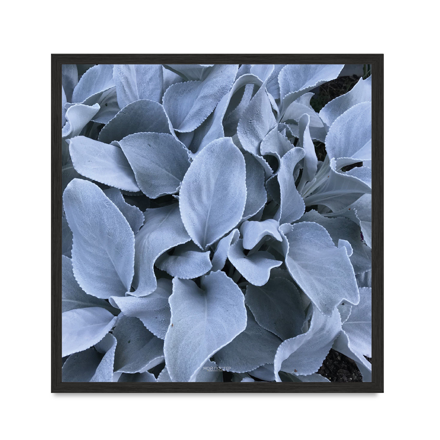 

Постер "Flowers" без стекла 45 x 45 см в чёрной рамке