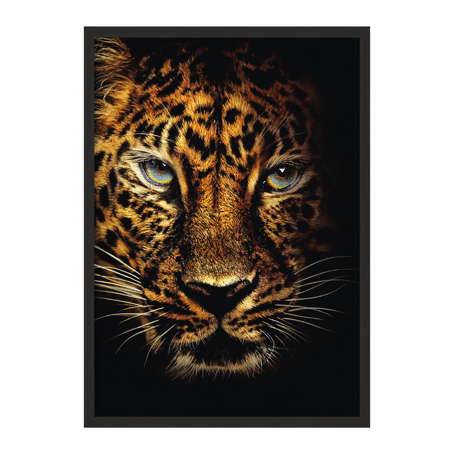 

Постер "King TIger" без стекла 84 x 140 см в чёрной рамке