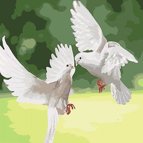 

Рисование по номерам "Белые голуби" 40*40см Идейка (КНО4149)