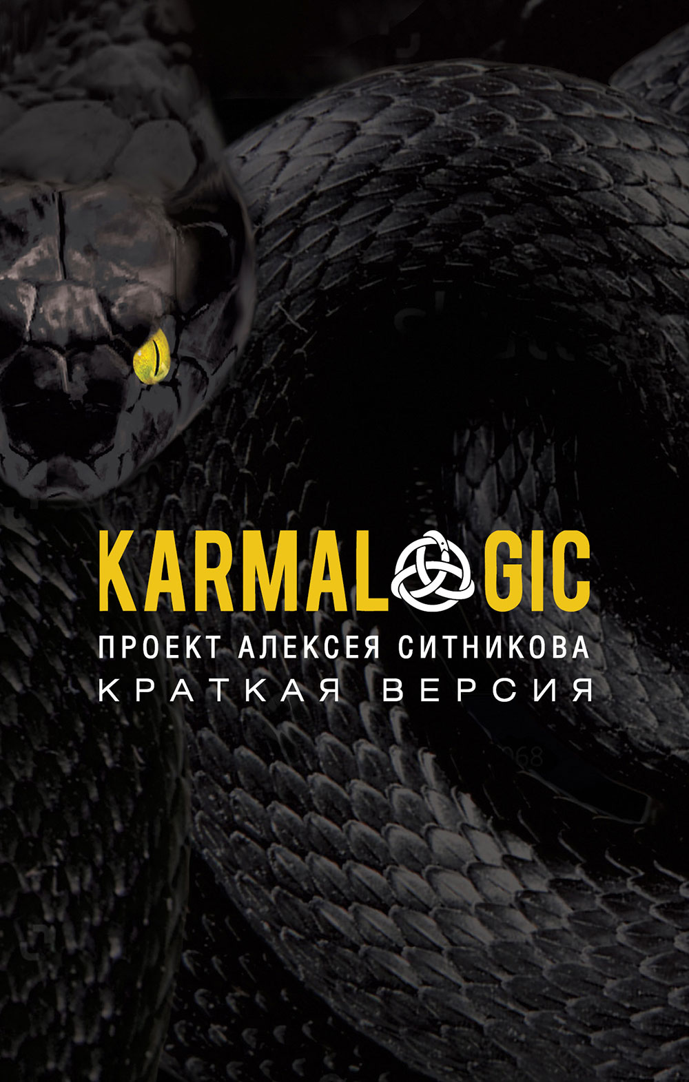 

Karmalogic. Краткая версия - Алексей Ситников (978-5-386-13590-4)