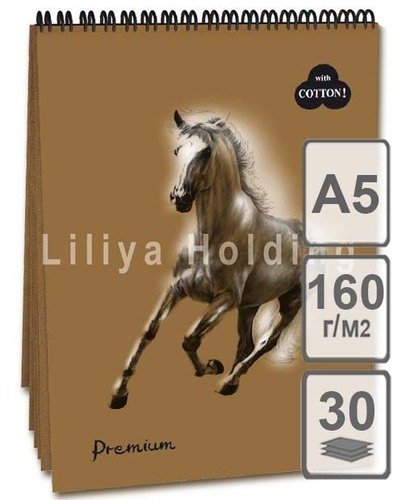 

Блокнот для пастели Лилия Холдинг Premium Cinnamon А5 160г 30л