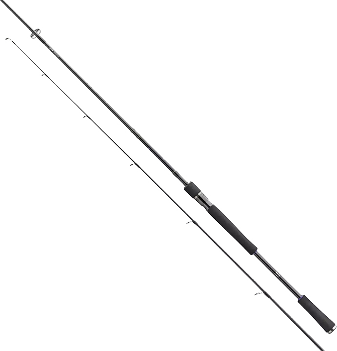 

Удилище спиннинговое Daiwa Prorex XR 2020 Spin 2.40 м 40-90 г (11331-244)