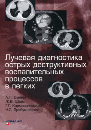 

Лучевая диагностика острых деструктивных воспалительных процессов в легких
