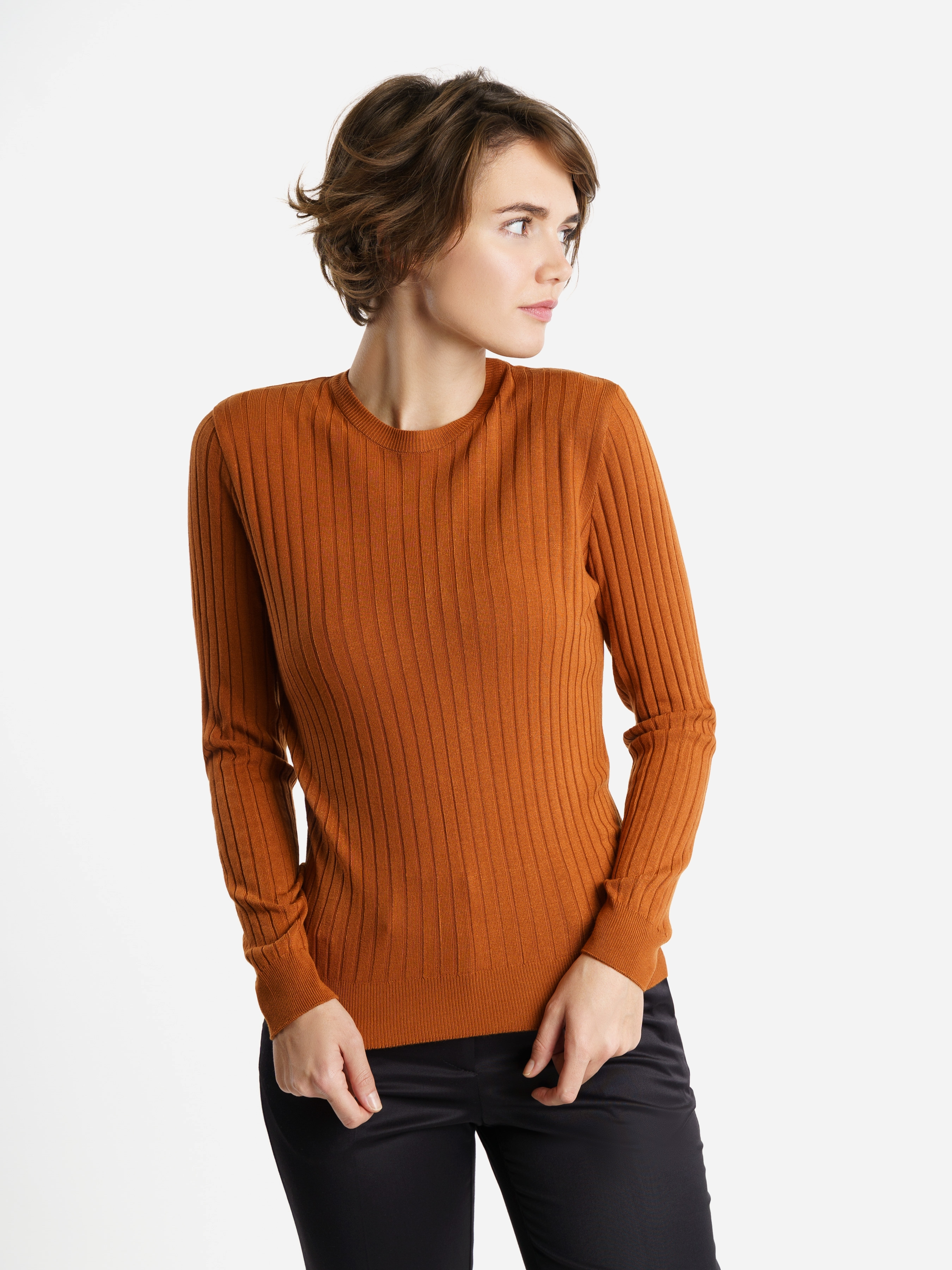 Джемпер жіночий Arber Crew-Neck Wmeis-E Long Wt W10.01.38.311 XS Коричневий від Rozetka на платформі USKIDKA Акція на Джемпер жіночий Arber Crew-Neck Wmeis-E Long Wt W10.01.38.311 XS Коричневий від Rozetka