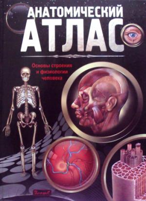 

Анатомический атлас. Основы строения и физиологии человека (888753)