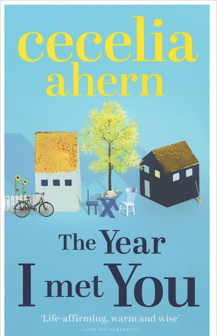 

The Year I Met You
